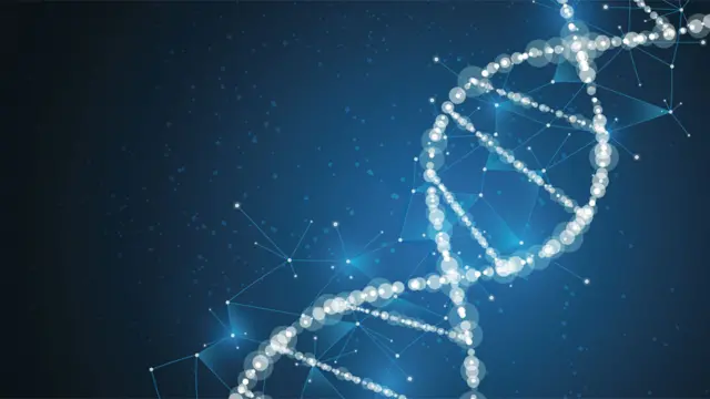 Eğitimle Ekonomi: Genetikle Gelecek, MEB'den Yeni Müfredat ve Sınavlar! Fiziksel Avantajlar