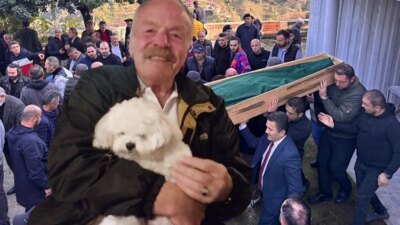 Giresun’da Trafik Kazası Sonrası Kavga: Emekli Öğretmen Hayatını Kaybetti Kaza