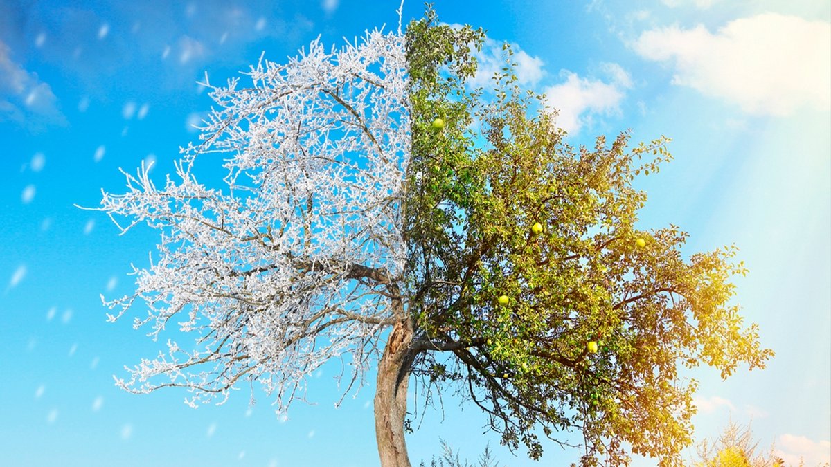 Hava Durumu: 25 Kasım 2025 için Ülke Genelinde Soğuk ve