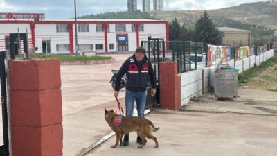 markdown # Kilis’te Okul Güvenliği İçin Jandarmadan Önlemler ## Okul