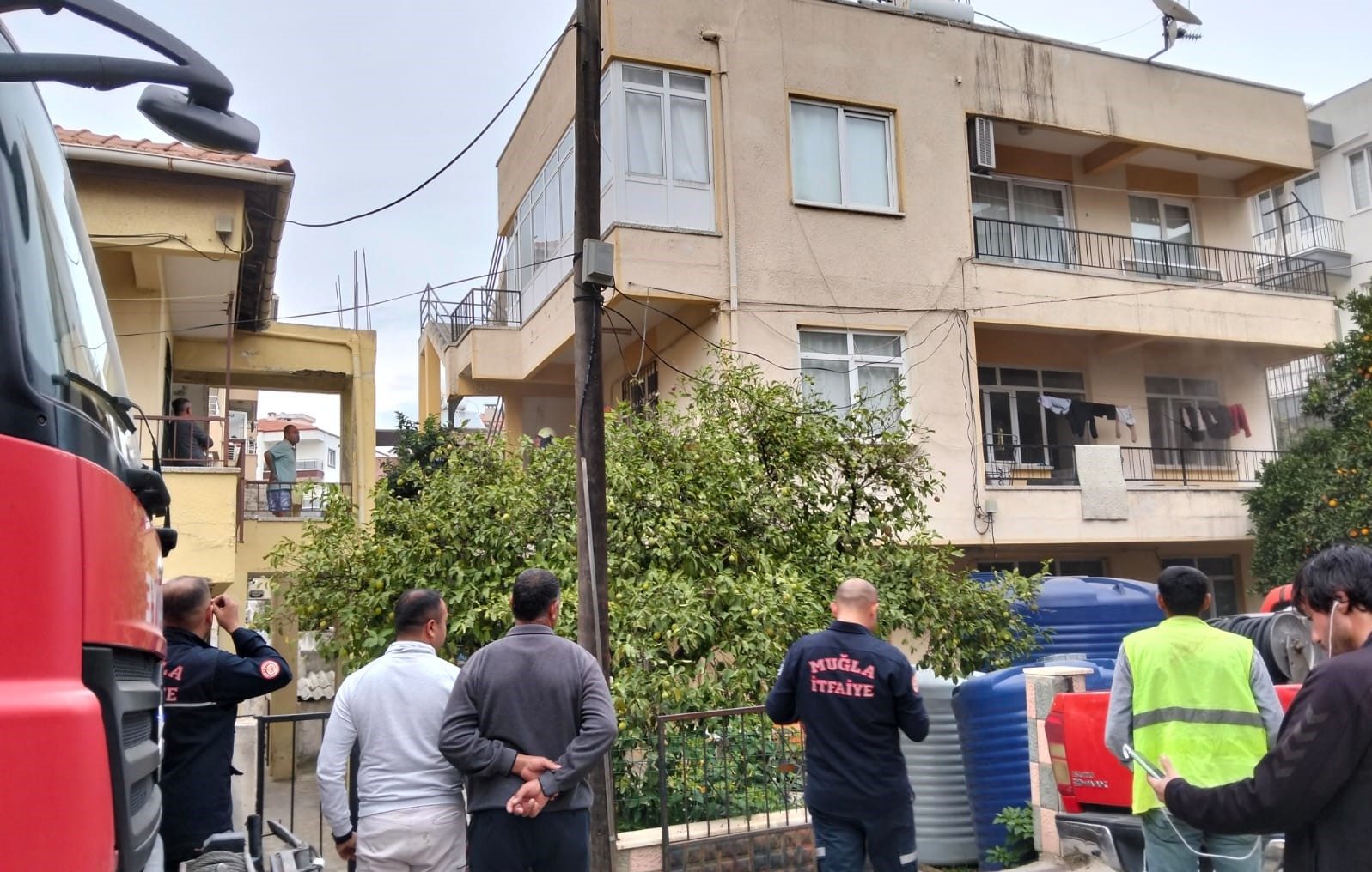 Milas'ta Yangın, İki Kedi Eleme Jürisi Tarafından Kaybedildi! milas yangın, milas ev yangını, milasta çıkan yangın, milas, milastaki evde çıkan yangın