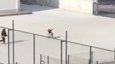 Çorum’da İlkokul Bahçesinde Panik: Başına Boş Köpek Ortaya Çıktı Olayın