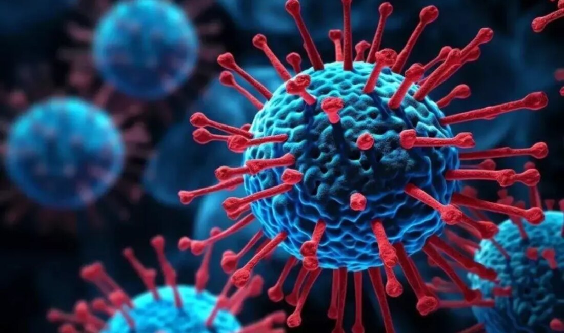 Senegal’de Rift Vadisi Ateşi Salgını: 29 Kişi Hayatını Kaybetti Salgının