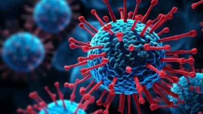 Senegal’de Rift Vadisi Ateşi Salgını: 29 Kişi Hayatını Kaybetti Salgının