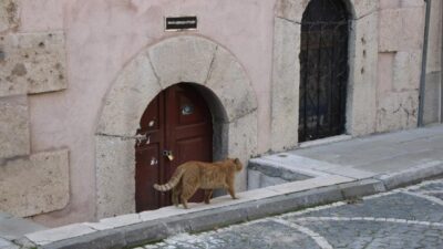 Flaş Gelişme: Amasya’da Türbeler Ziyarete Kapatıldı Amasya’da 9 Türbe Ziyarete