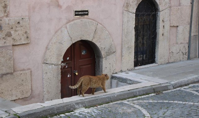 Flaş Gelişme: Amasya’da Türbeler Ziyarete Kapatıldı Amasya’da 9 Türbe Ziyarete