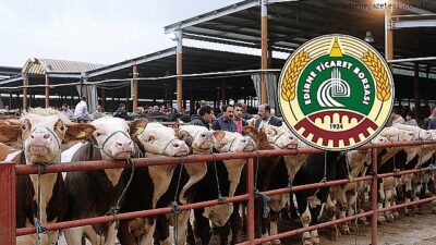 Flaş Gelişme: Edirne Ticaret Borsası Canlı Hayvan Satış Yeri Yeniden