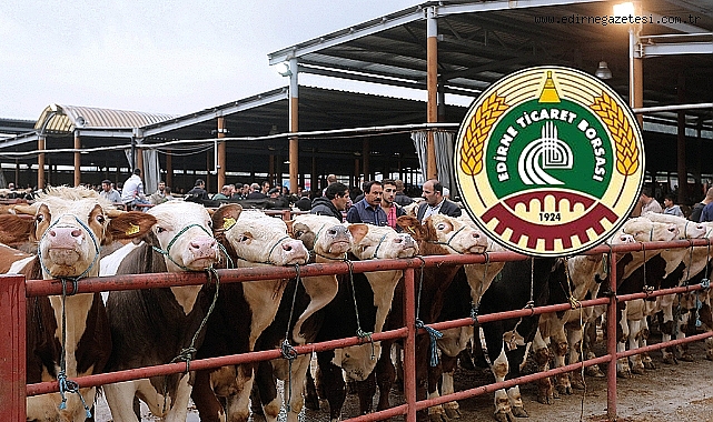 Flaş Gelişme: Edirne Ticaret Borsası Canlı Hayvan Satış Yeri Yeniden