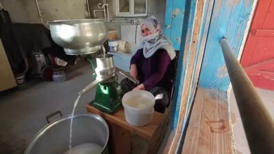 Gündem: Erzurum’un Doğal Şifa Kaynağı Küflü Peynir H2: Erzurum’un Küflü