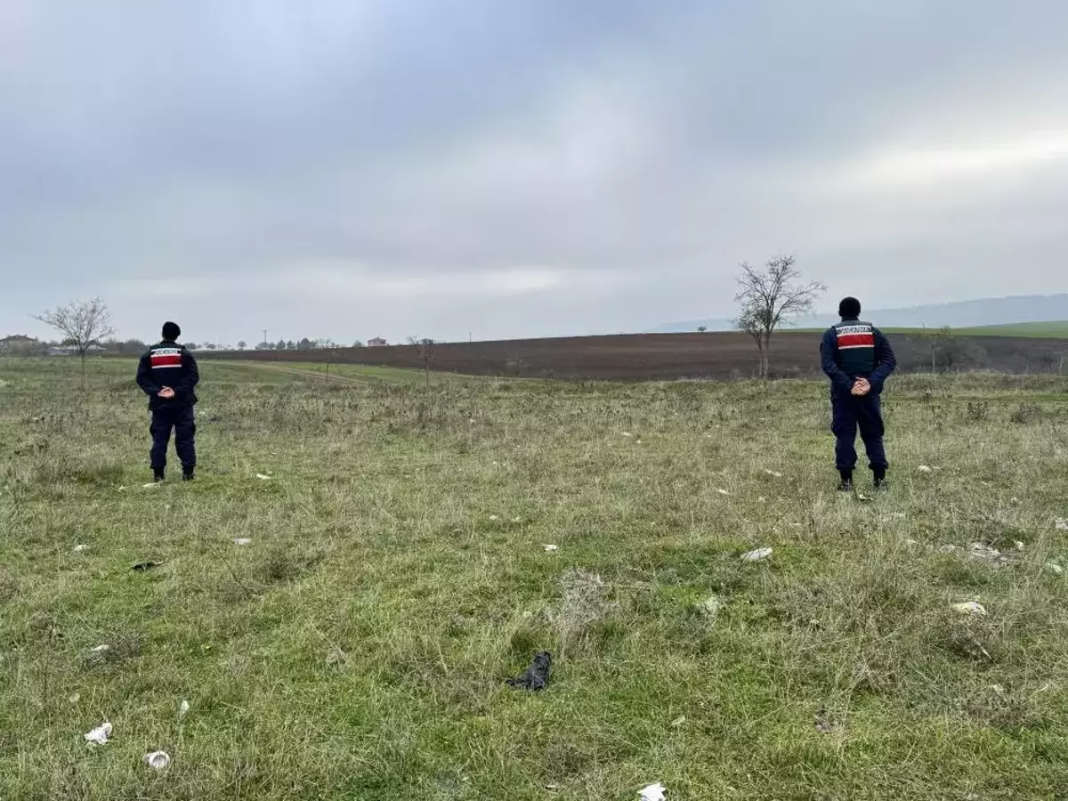 Son Dakika: Mantar Toplayıcıları Hayatlarını Tehditle Karşılıyor! Son Dakika Mantar Toplayicilari Hayatlarini Tehditle Karsiliyor