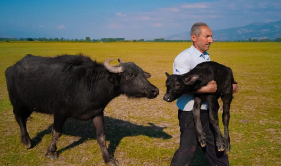 Fotoğrafçılıkta Dönüşüm: Mehmet Emin Coruş’un Huawei ile Başladığı Hikaye İnanılmaz