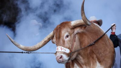 Texas Longhorns College Football Poll’da İlk 10’a Döndü Texas Longhorns’ın