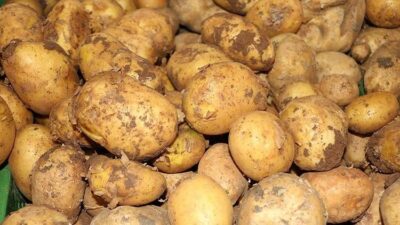 Patates Fiyatları Üzerine Ticaret Bakanlığı’ndan Açıklama Patates Fiyatları Hakkında Yanlış