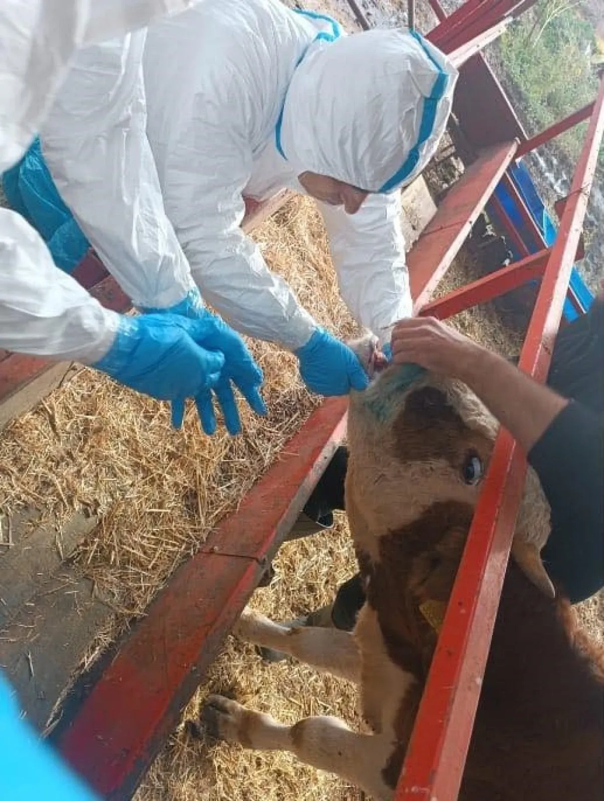 Uc Mahallede Saglik Flas Gelismeleri Beslenme Egzersiz ve Diyet.webp