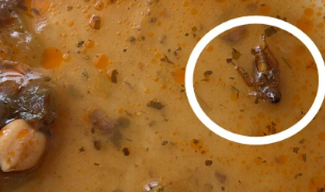 Gaziantep Üniversitesi Hastanesi’nde Hijyen Skandalı: Böcekli Yemek İddiası Kemoterapi Biriminde