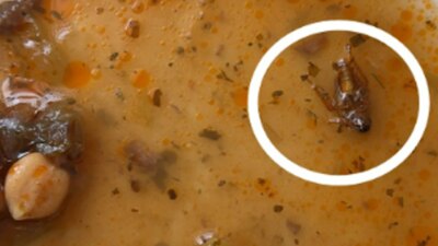 Gaziantep Üniversitesi Hastanesi’nde Hijyen Skandalı: Böcekli Yemek İddiası Kemoterapi Biriminde