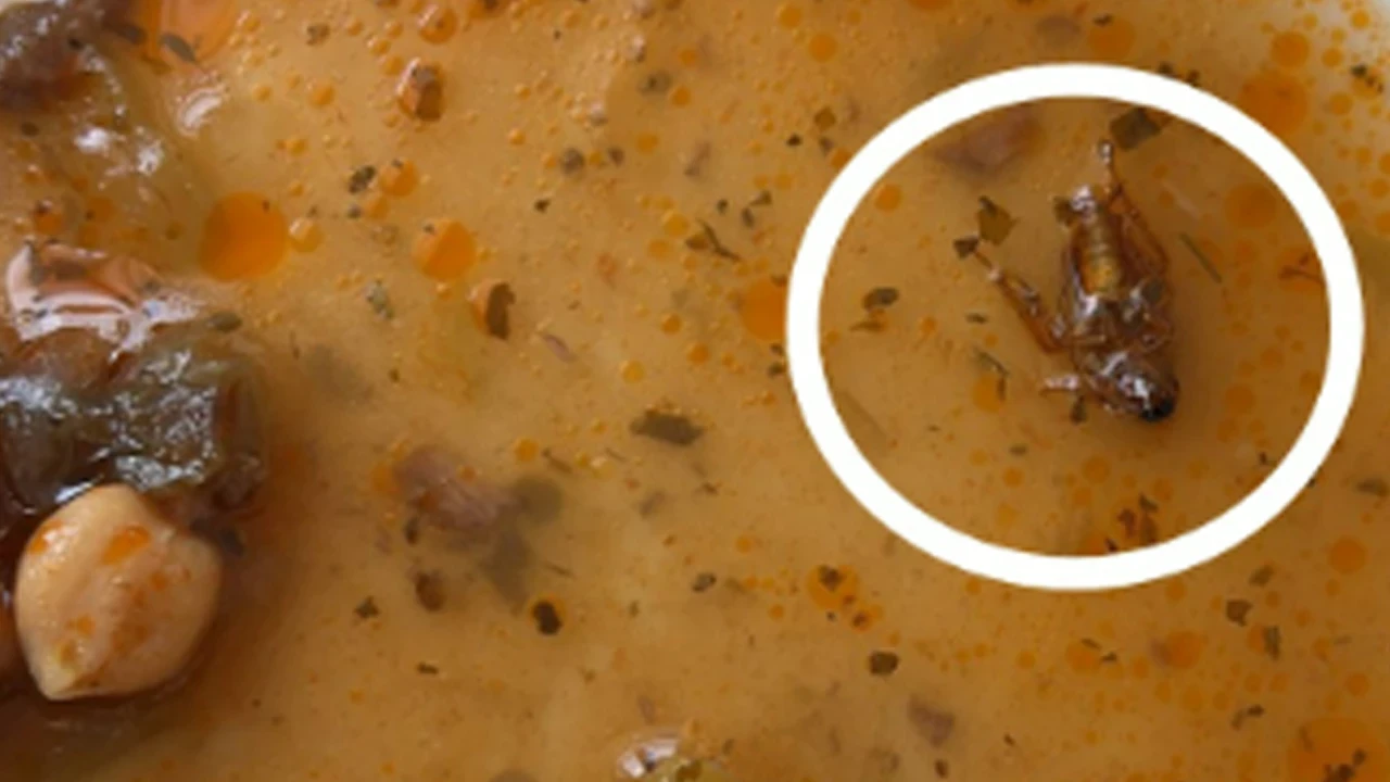 Üniversite hastanesinde böcekli yemek