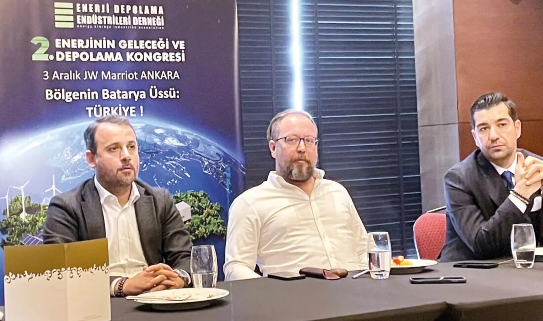 Yenilenebilir Enerji Depolama İhtiyacı: EDEDER Başkanı Doğa Can Bayram Açıklamalarda