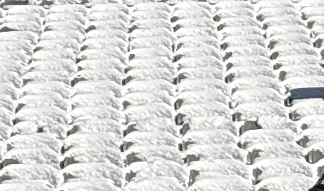 Bengals’ın Kar Temizleme İhlali: Taraftarlar Maçta Zor Anlar Yaşayabilir Cincinnati