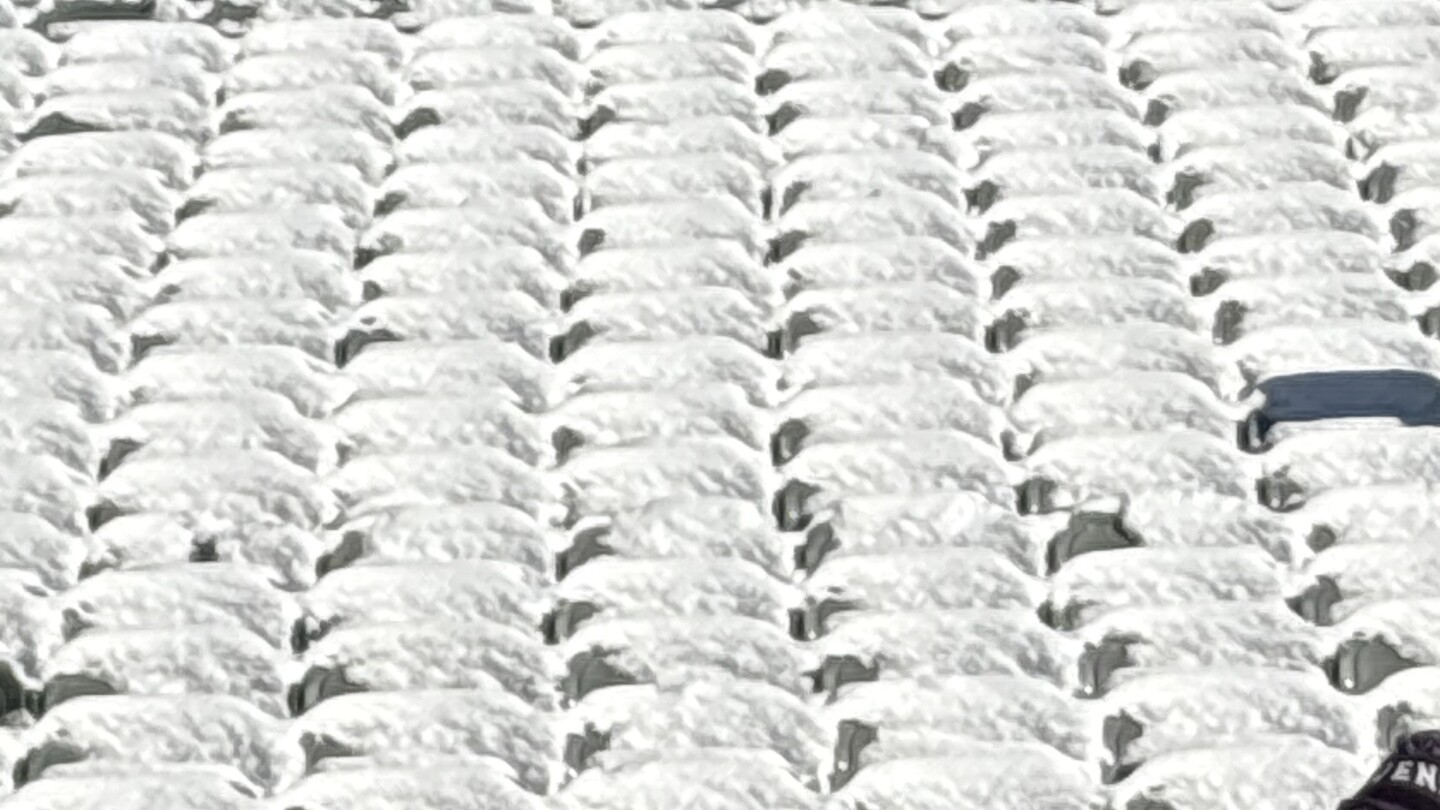 Bengals, Stadyum Koltuklarındaki Karı Temizlemedi, Lig Kuralını İhlal Etti Bengals Stadyum Koltuklarindaki Kari Temizlemedi Lig Kuralini Ihlal Etti.com2Fbrightspot2F162F7