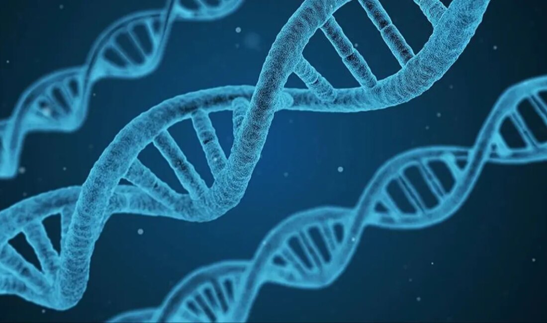 Kanser Riski Taşıyan Genetik Mutasyonun Düşündüğünden Fazla Çocuğa Etkisi Nadir