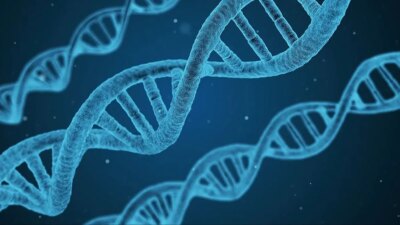 Kanser Riski Taşıyan Genetik Mutasyonun Düşündüğünden Fazla Çocuğa Etkisi Nadir