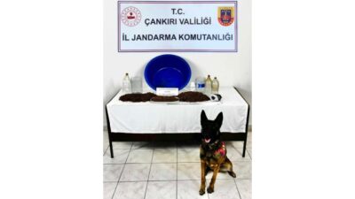 Çankırı’da Narkotik Operasyonu: Öğrencilere Eğitim ve Bilinçlendirme Faaliyetleri Çankırı İl