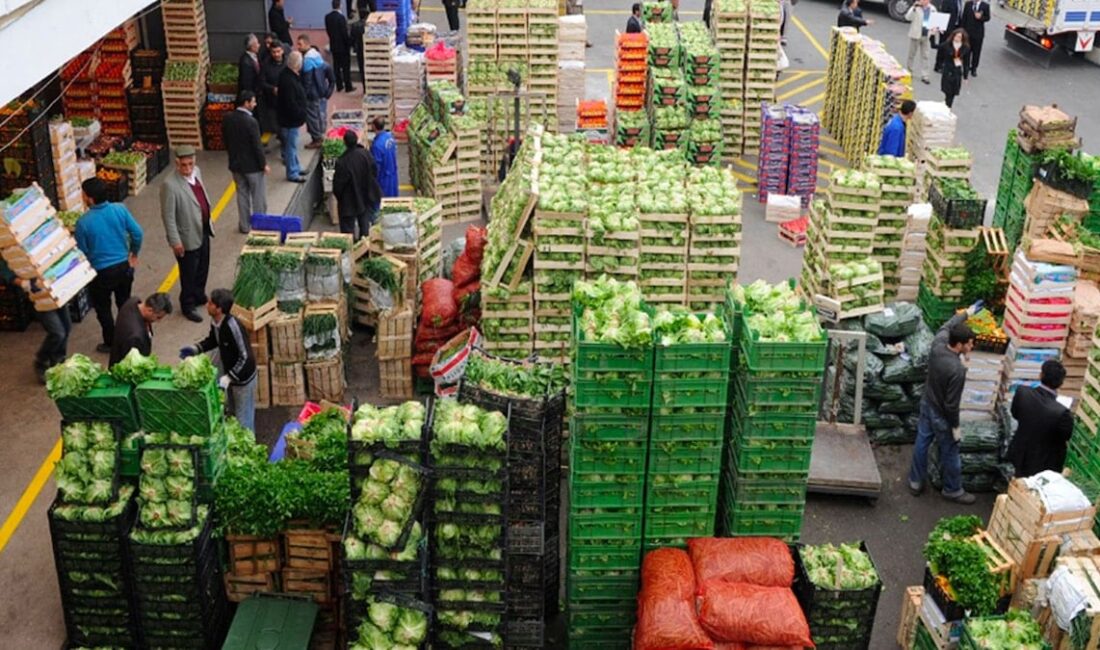 Tarımda İthalat Tehlikesi: Üretimden Çekilen Çiftçiler ve Gıda Güvencesi Çiftçiler