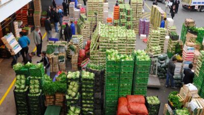 Tarımda İthalat Tehlikesi: Üretimden Çekilen Çiftçiler ve Gıda Güvencesi Çiftçiler