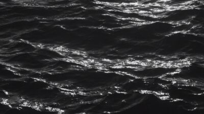 Stanley ve Trump: Güç ve Ahlak Üzerine Bir Karşılaştırma Tarihsel