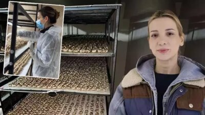 Gündem: Mali Müşavirliği Bıraktı, Safran Üretimine Geçti Çocukluk Hayalini Gerçekleştiriyor