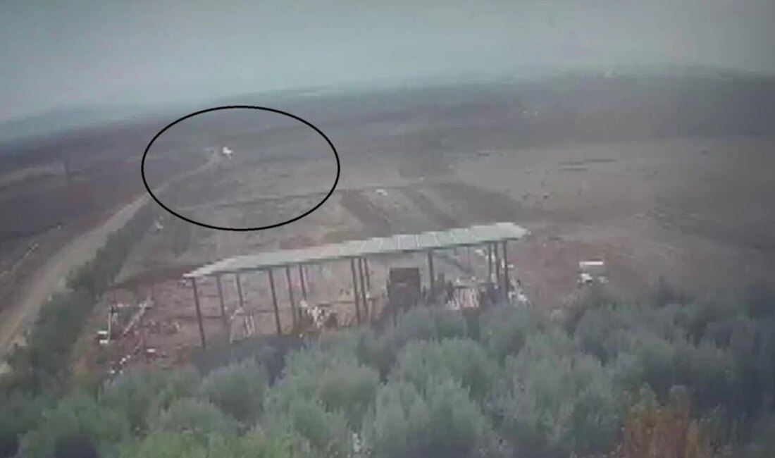 Reyhanlı’da Kayıp Çocuk Bulundu: Kaçırıldığı İddia Edildi Olayın Gelişimi Reyhanlı