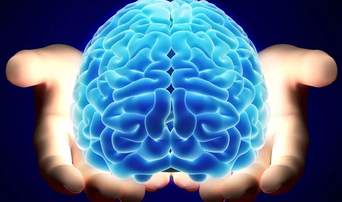 Beyin Sağlığını Tehdit Eden 6 Yaygın Gıda Günlük yaşamda tükettiğimiz