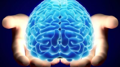 Beyin Sağlığını Tehdit Eden 6 Yaygın Gıda Günlük yaşamda tükettiğimiz