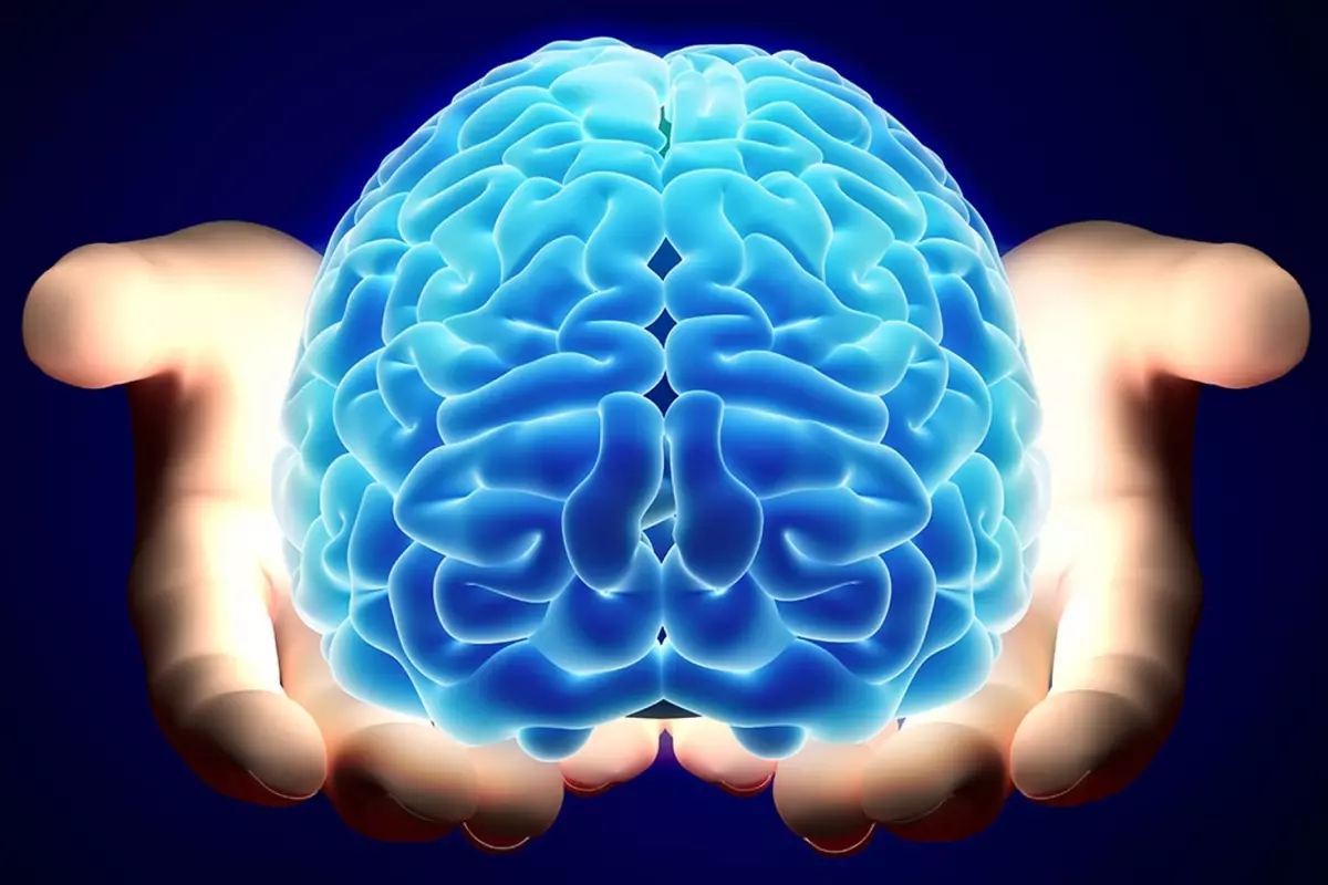 “Sağlık: Nörologlardan Beyin İçin Acil 6 Zararlı Gıda Önerisi” Nörologlar beyin için en zararlı 6 gıdayı açıkladı