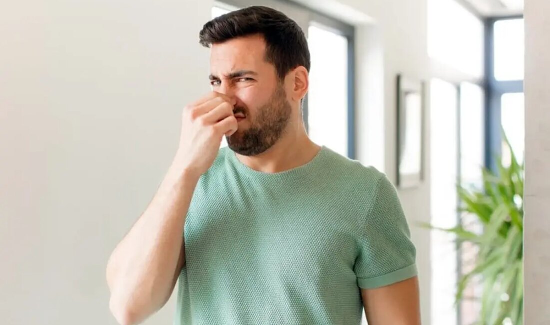 Bağırsak Gazındaki Hidrojen Sülfür, Alzheimer’a Karşı Koruyucu Etki Gösteriyor Yeni