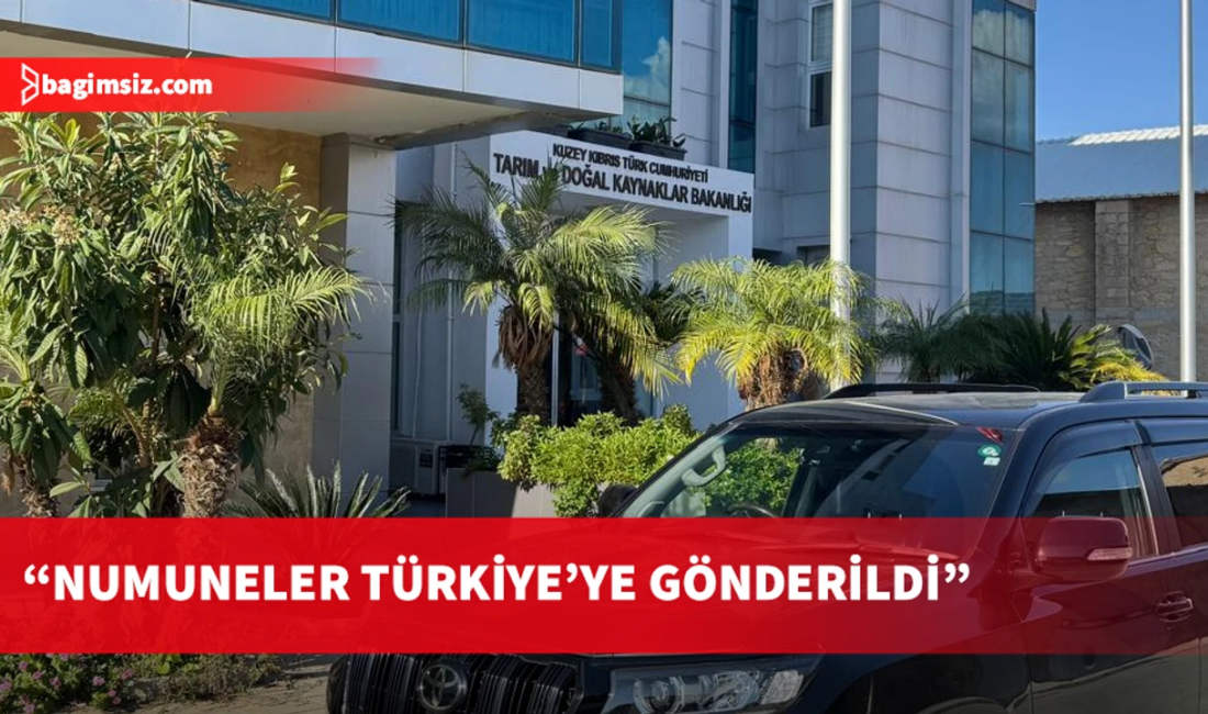 Boğaziçi Köyü’nde Şap Hastalığı Semptomları Gözlemlendi: Tarım Bakanlığı Önlemler Aldı