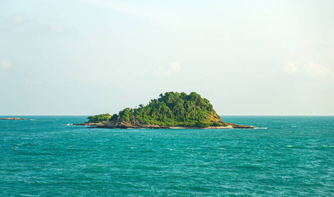 Teknoloji Milyarderleri Yeni Ülkeler Kurma Peşinde Giriş: Yeni Bir Yönetişim