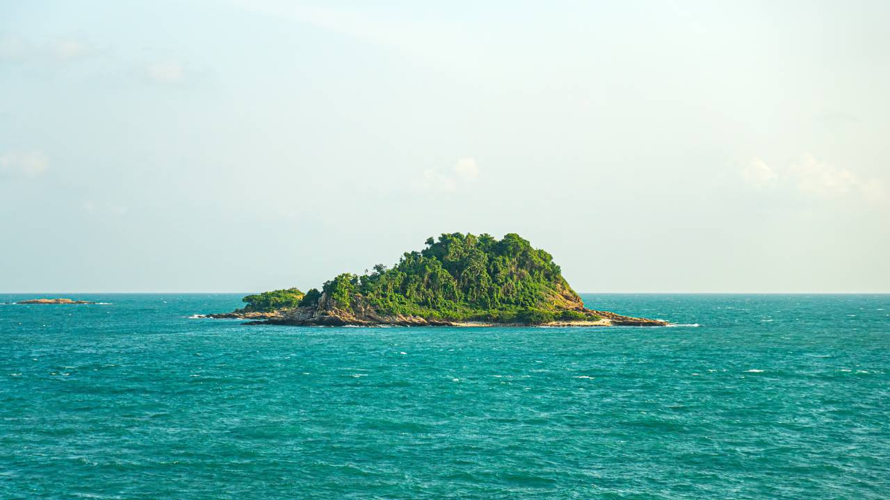 Teknoloji Milyarderleri, Bugün Startup Toplumları ve Kripto Fırsatları Peşinde Teknoloji Milyarderleri Bugun Startup Toplumlari ve Kripto Firsatlari Pesinde